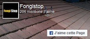 Aimer fongistop sur facebook