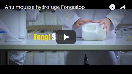 Les anti-mousses et hydrofuges fongistop