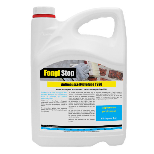 Fongistop et Hydrofuge 2 en 1 tous supports TS90 - 5 litres