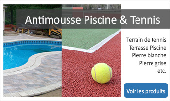 antimousse piscine tennis